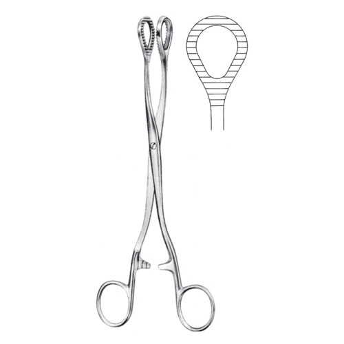 Heywood-Smith Haemorrhoidal (Pile) Forceps, 20cm