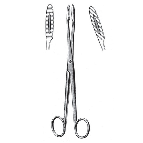 Gross Maier Cotton Swab Forceps, Screw Joint, Str, 18cm