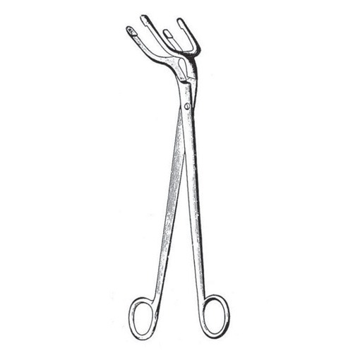 Pye-Smith (Harrison) Sterilizing Forceps, 25cm