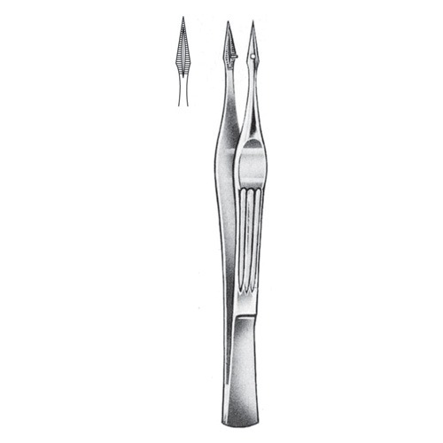 Walter-Carmalt Splinter Forceps, Str, 10.5cm