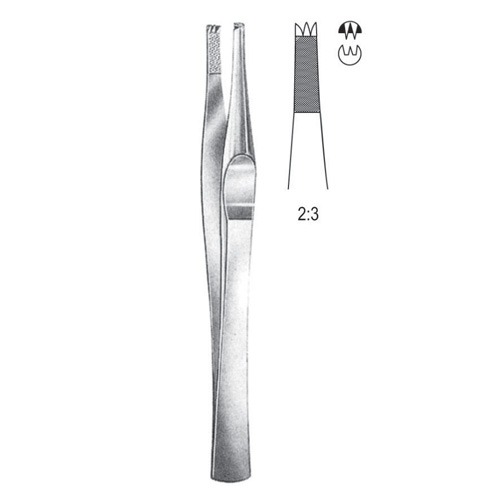 Lane Tissue Forceps, 2x3 Teeth, 12.5cm