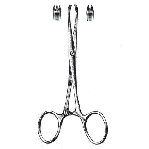 Chaput Tissue Holding Forceps, 13cm