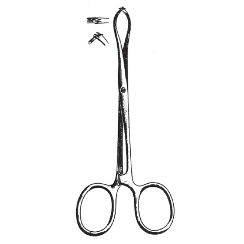 Porrier Tissue Holding Forceps, 12.5cm