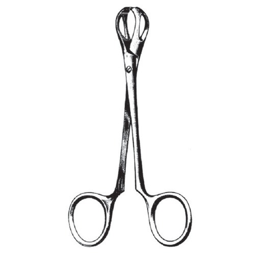 Lane Organ Holding Forceps, Screw Joint, 19.5cm