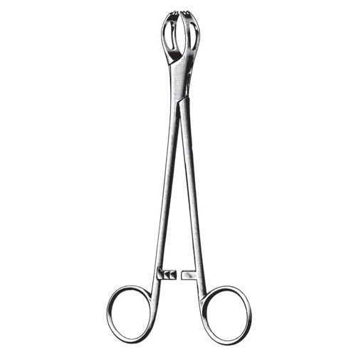 Lane Organ Holding Forceps, Box Joint, 20cm