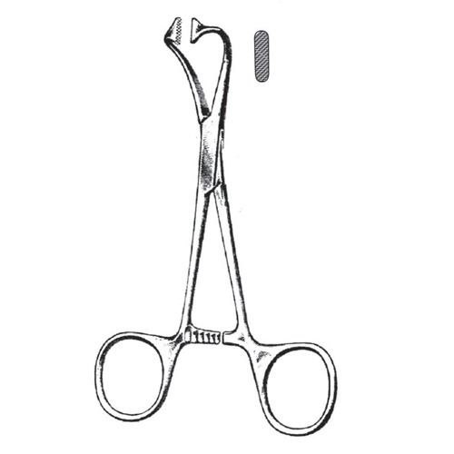 Towel Clamp Forceps, 10cm