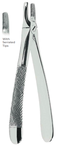 Extracting Forceps With serrated tips  for Upper incisors and canines  Fig. 1