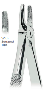 Extracting Forceps With serrated tips  for Upper incisors and canines  Fig. 2