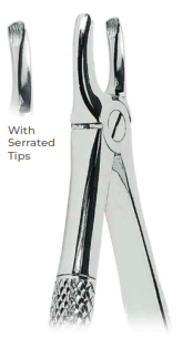Extracting Forceps With serrated tips for  Overlapping upper incisors and canines  Fig. 3
