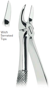 Extracting Forceps With serrated tips For separating upper molars  Fig. 55