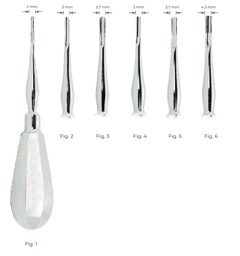 Bein Root Elevators with stainless steel handle 2 mm Fig. 1