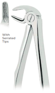 Extracting Forceps with Coderella handle With serrated tips  for Lower premolars   Fig. 13