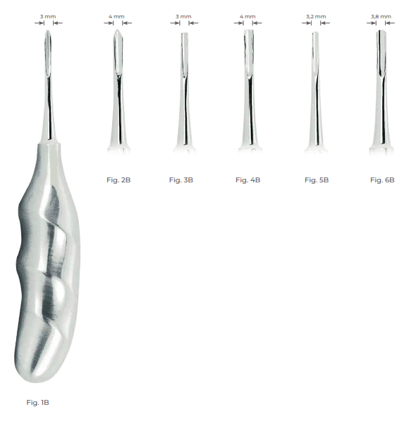 Bein Root Elevators with Anatomically Shaped Handle in stainless steel 3 mm Fig. 3B