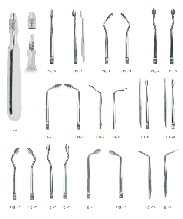 Syndesmotomes Fig. 2