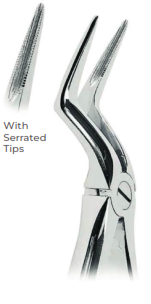 Extracting Forceps with Coderella handle With serrated tips  for Upper roots  Fig. 151 1/2