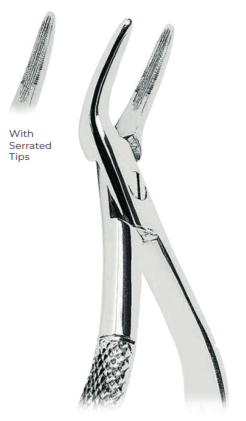 Witzel  Root Splinter Forceps With serrated tips for Upper roots   Fig. 2