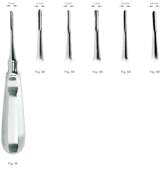 Bein Root Elevators with stainless steel handle 3.8 mm Fig. 6B