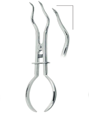 Brewer clamp forcep Rubber Dam Instruments 17.5cm