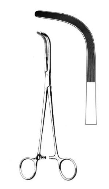 Mcquigg Mixter Gall Duct Forceps, 22cm