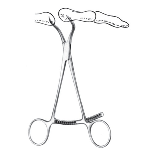 Bone Holding Forceps, 13.5cm,