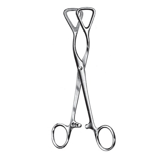 Guy Tongue Holding Forceps, 19.0cm