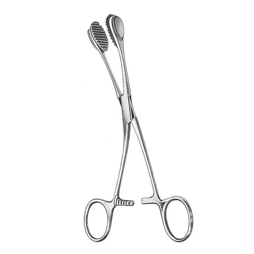 Young Tongue Holding Forceps, 17.0cm