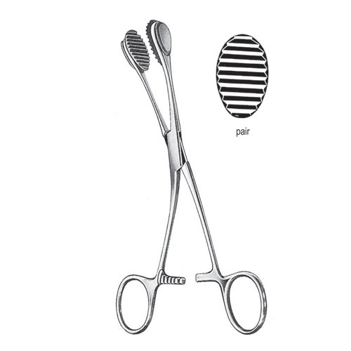 Young Tongue Holding Forceps, 17.0cm (Pair)
