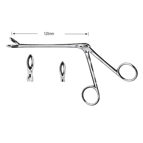 Weil Blakesley Nasal Cutting Forceps, 120mm, 19cm (With Neck)