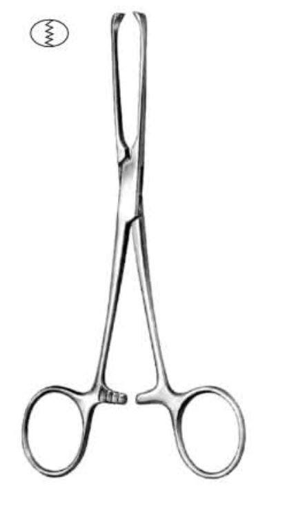 Allis Tissue And Intestinal Forceps, 4x5 Teeth, 22cm