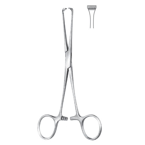 Boys-Allis Tissue And Intestinal Forceps,15cm