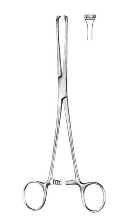 Thoms-Allis Tissue And Intestinal Forceps, 20cm