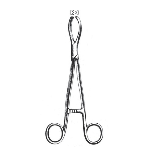 Littlewood Tissue And Intestinal Forceps, 19cm