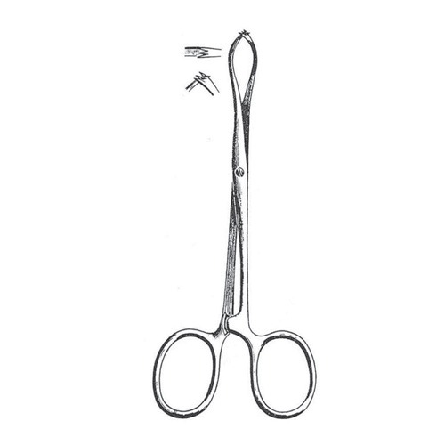 Porrier Tissue And Intestinal Forceps, 18cm