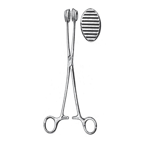 Childs Tissue And Intestinal Forceps, 24cm