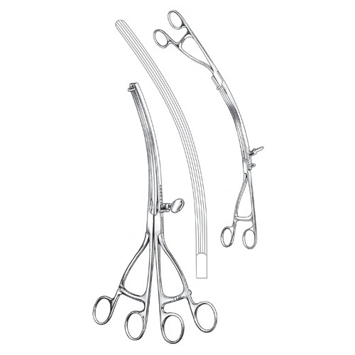 Lane Intestinal And Stomach Clamps, Curved, 30cm