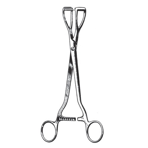 Young Penis Clamp And Lithotomy Forceps, 20cm