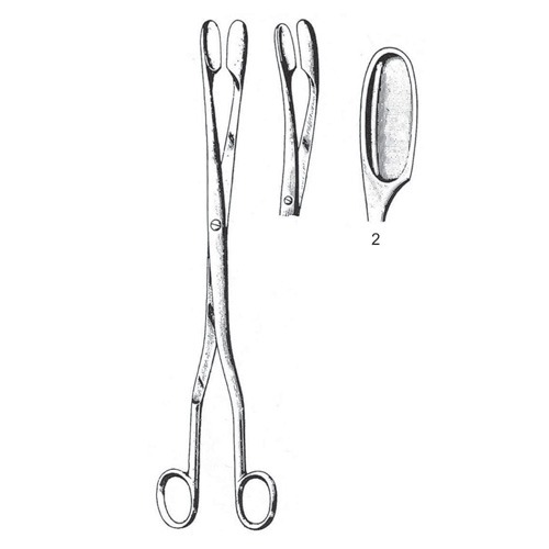 Winter Placenta And Ovum Forceps, Straight,  28cm