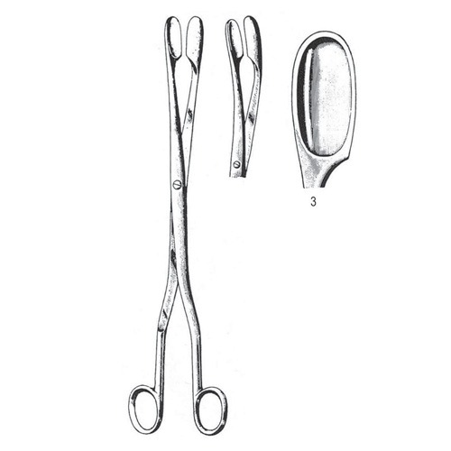 Winter Placenta And Ovum Forceps, Straight,  28cm
