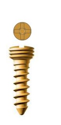 [M24-14L] Locking screw,Ø 3.7, Ø 2.4, 14 mm, Gold