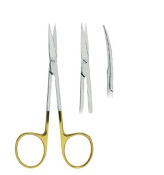 [RDB-983-11/TC] Iris Gum Scissors Curved Fig. 2TC ( 11 cm)