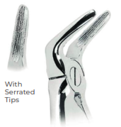 [RDJ-100-31] Extracting Forceps With serrated tips FOR Lower roots and incisors  Fig. 31