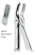 [RDJ-102-39] Extracting Forceps for Children With serrated tips for Upper molars, right Fig. 39R