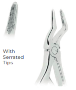 [RDJ-107-51] Extracting Forceps for Children - Klein pattern With serrated tips for Upper roots Fig. 51S