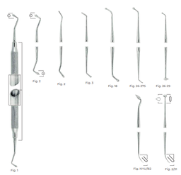 [RDJ-223-72/B] Burnishers, SC Light, Fig NYU/B2