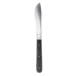 [RD-110-10] Knives 25.5cm, Blade Size 100mm