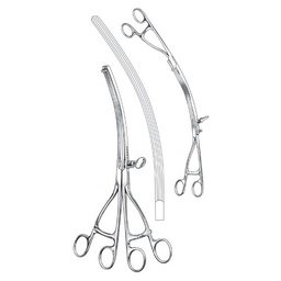[RAA-218-30] Lane Intestinal And Stomach Clamps, Curved, 30cm